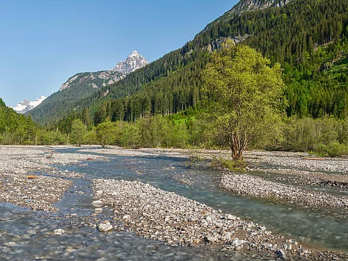 Am Hornbach im Hornbachtal, Naturpark Tiroler Lechtal. Fluss, Bach, Flussbett, Alpenfluss, Alpenlandschaft, Berglandschaft, Flusslandschaft, Strömung, Ufer, Flussufer, Berg, Bergwald, Nadelwald, Landschaft, Wald, Nadelbaum, Wasser, fließendes Wasser, Wasserarm, Flussarm, Wasserlauf, Tiroler Lechtal, Naturpark, steil, unzugänglich, schroff, naturnah, Wildnis