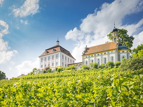 Monheim-Shooting 2021 Schloss Leitheim Weinberg mit zwei historischen Gebäuden und blauem Himmel mit Wolken im Hintergrund