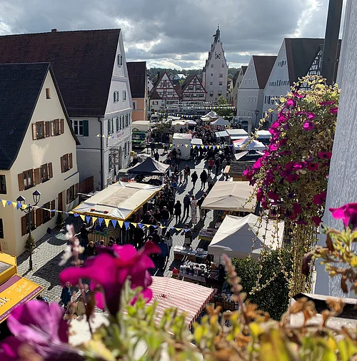 Schärtlesmarkt in Monheim Ansicht von oben auf die Monheimer Innenstadt mit Marktständen links und rechts und Menschen, umgeben von Fachwerkhäusern. Im Vordergrund und an der Hausfassade pinke Blumen.