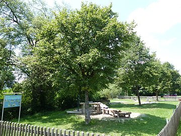 Pädagogischer Wasserspielplatz Monheim