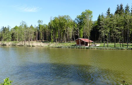 Roßköpfleweiher (Waldsee) Monheim