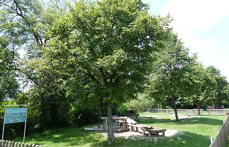 Pädagogischer Wasserspielplatz Monheim