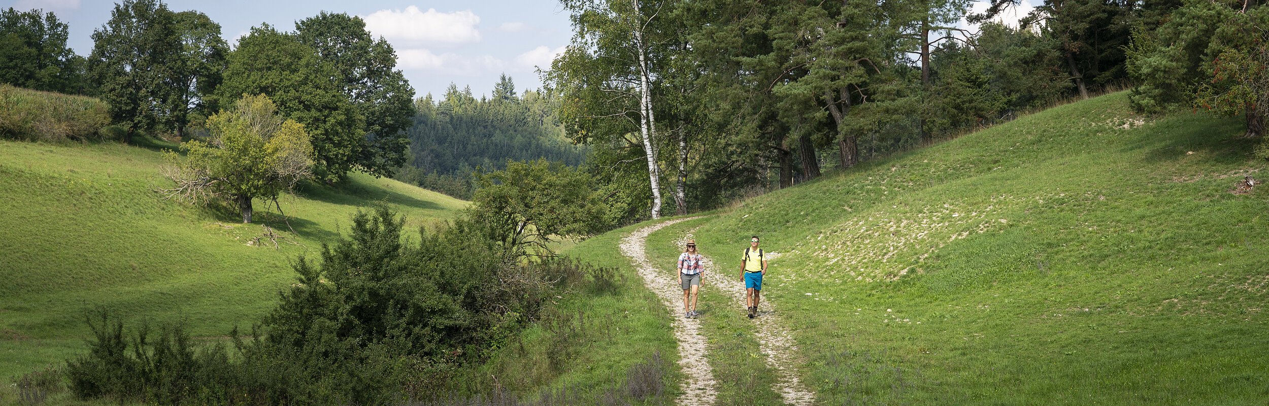 Wandern in der Monheimer Alb