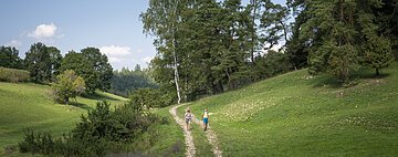 Wandern in der Monheimer Alb Röglinger Tal
