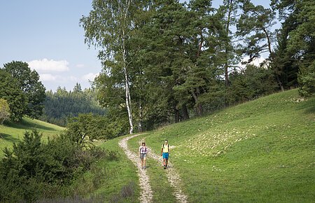Röglinger Tal