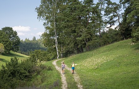 Wandern in der Monheimer Alb