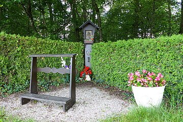 Themenpfad Zukunftswald Monheim - Ruhe tanken und Innehalten am Wegesrand