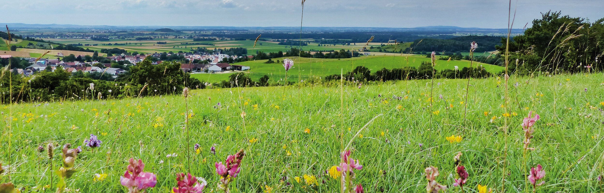 Blick vom Mähhorn - auf dem Wanderweg Monheimer Alb Nr. 17