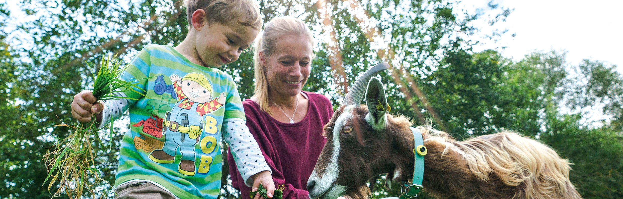 Ziegenhof Monheim - Ziegen hautnah erleben