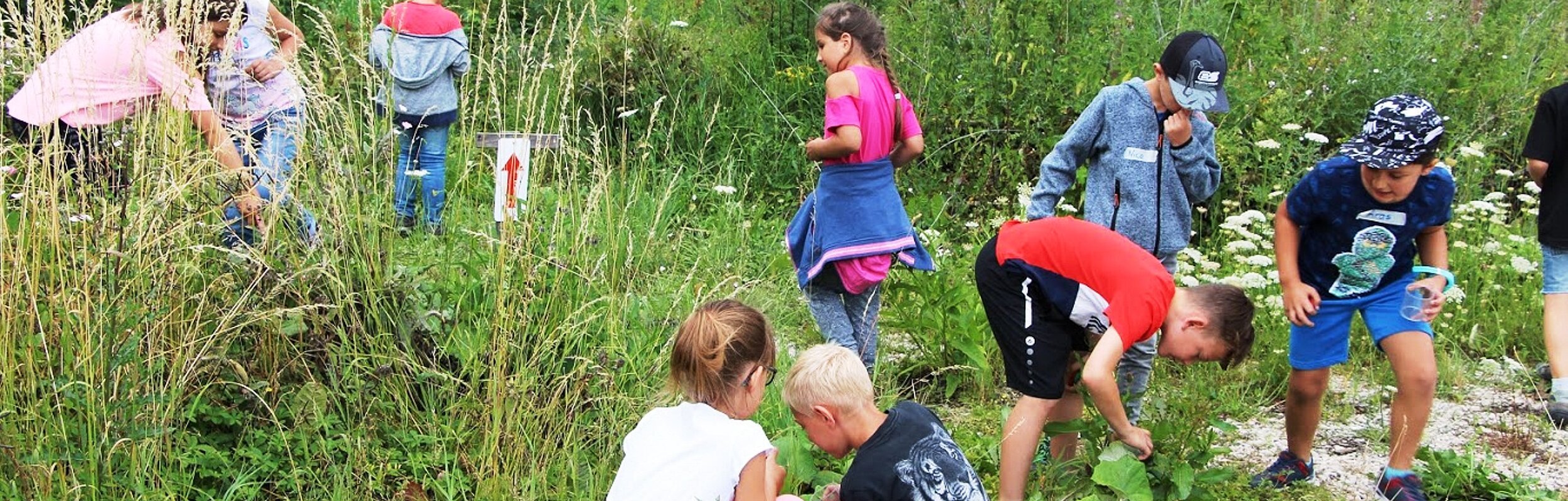 B+ Zentrum Blossenau - Natur entedecken