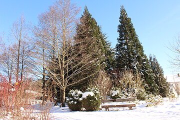 Waldpark Huisheim - Ruhepause bei den Mammutbäumen