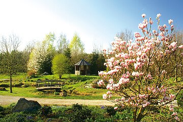 Herzlich Willkommen im Waldpark Huisheim