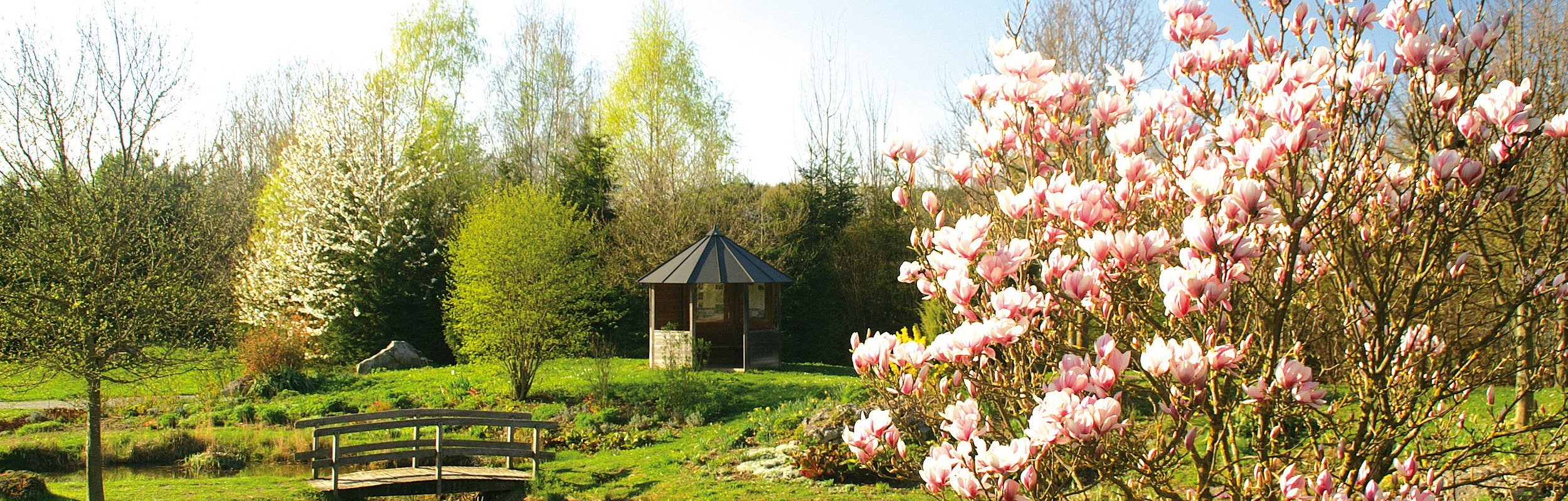 Herzlich Willkommen im Waldpark Huisheim