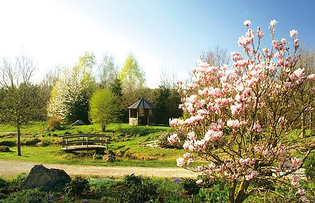 Herzlich Willkommen im Waldpark Huisheim