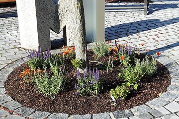 Projekt "Wir lassen Monheim blühen" - auch der Buchstabenweg ist bunt bepflanzt